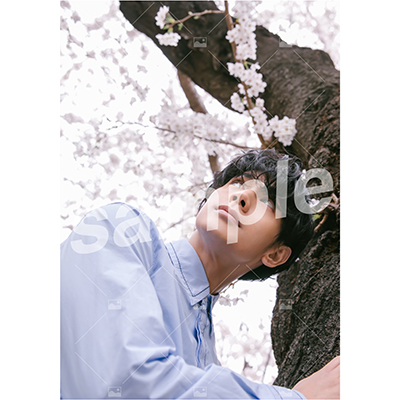 【遅れてごめんね「ふるややまとのたんじょうび」】Vol.2 On-line Photo A-16