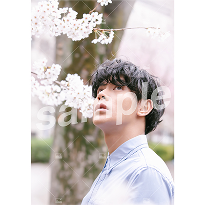 【遅れてごめんね「ふるややまとのたんじょうび」】Vol.2 On-line Photo A-04