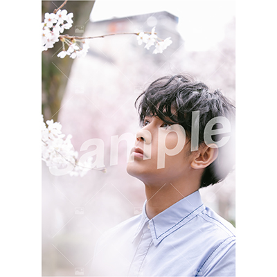 【遅れてごめんね「ふるややまとのたんじょうび」】Vol.2 特典付きOn-line Photo Aセット（20枚+2枚）