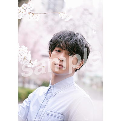 【遅れてごめんね「ふるややまとのたんじょうび」】Vol.2 特典付きOn-line Photo Aセット（20枚+2枚）