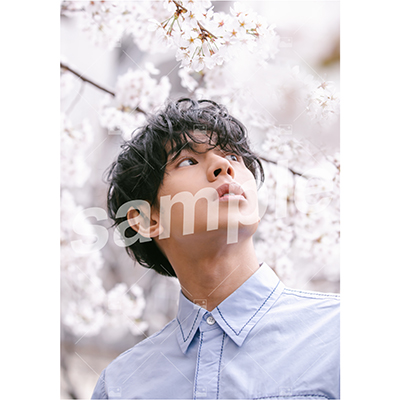 【遅れてごめんね「ふるややまとのたんじょうび」】Vol.2 特典付きOn-line Photo Aセット（20枚+2枚）