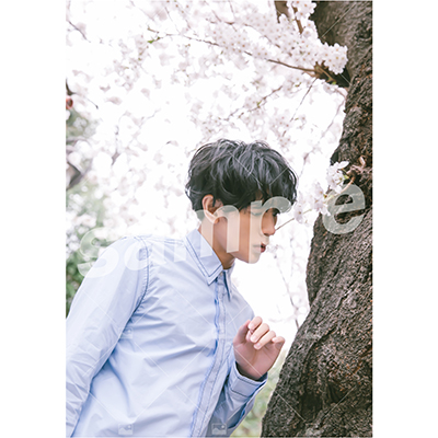 【遅れてごめんね「ふるややまとのたんじょうび」】Vol.2 特典付きOn-line Photo Aセット（20枚+2枚）