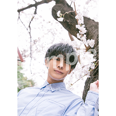 【遅れてごめんね「ふるややまとのたんじょうび」】Vol.2 特典付きOn-line Photo Aセット（20枚+2枚）