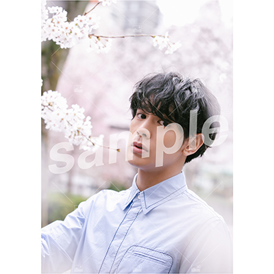 【遅れてごめんね「ふるややまとのたんじょうび」】Vol.2 特典付きOn-line Photo Aセット（20枚+2枚）