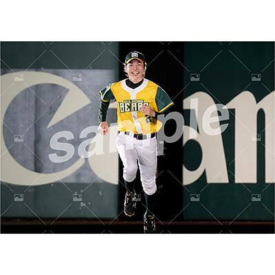 DIAMOND BEARS (和田琢磨 B)