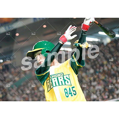 DIAMOND BEARS (石橋弘毅 C)