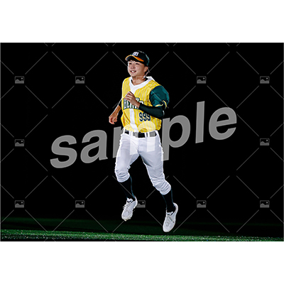 DIAMOND BEARS (岩瀬恒輝 B)