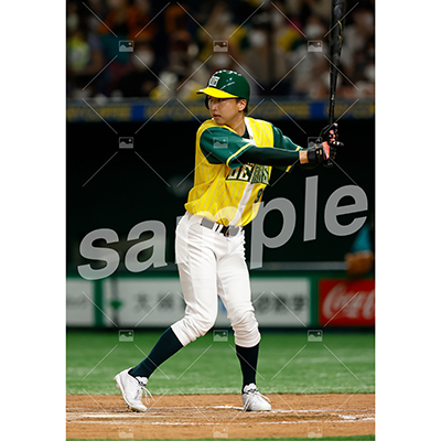 DIAMOND BEARS (岩瀬恒輝 C)