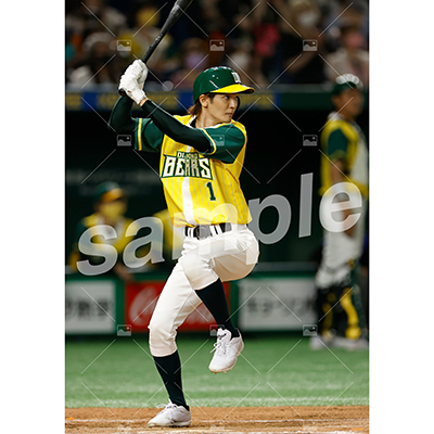 DIAMOND BEARS (上田堪大 C)