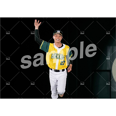 DIAMOND BEARS (上田悠介 B)