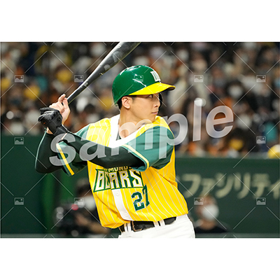 DIAMOND BEARS (上田悠介 D)