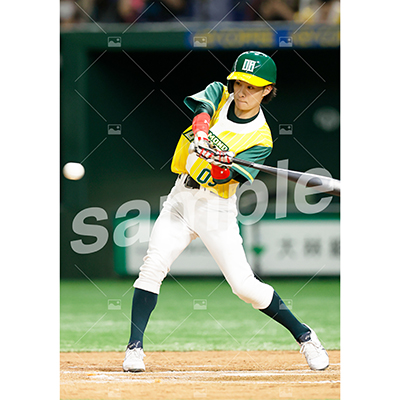 DIAMOND BEARS (大見拓土 D)