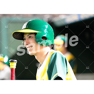 DIAMOND BEARS (松井勇歩 C)