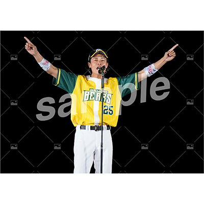 DIAMOND BEARS (横山真史 B)