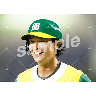 DIAMOND BEARS (横山真史 C)