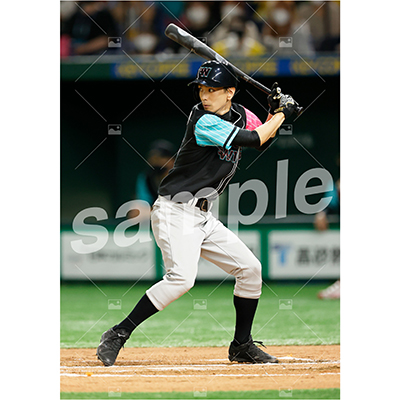 BLACK WINGS (黒羽麻璃央 D)