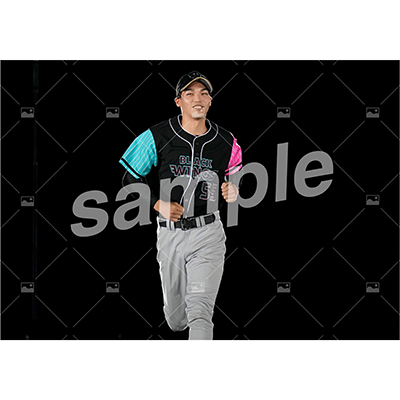 BLACK WINGS (章平 B)