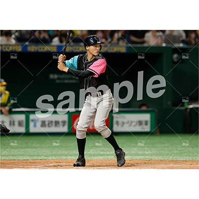 BLACK WINGS (章平 D)