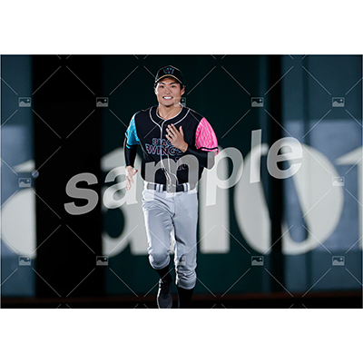 BLACK WINGS (八木将康 B)