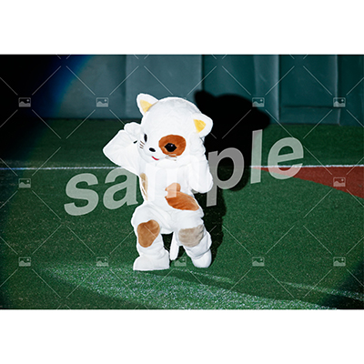 特典付きSPECIALフルセット(40枚)