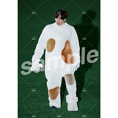 特典付きSPECIALフルセット(40枚)