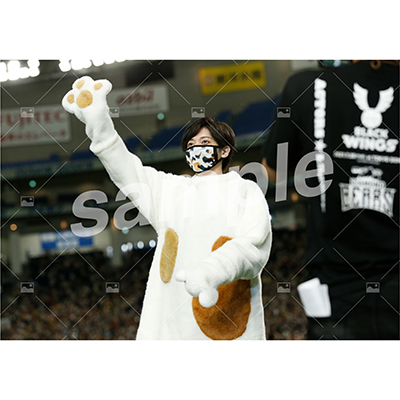 特典付きSPECIALフルセット(40枚)