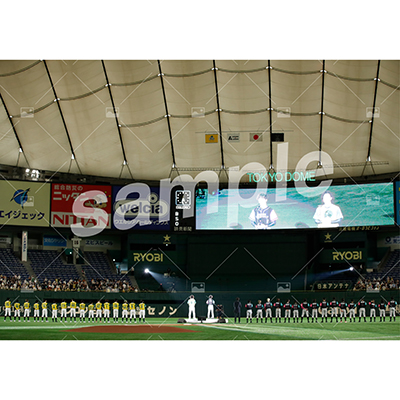 特典付きSPECIALフルセット(40枚)