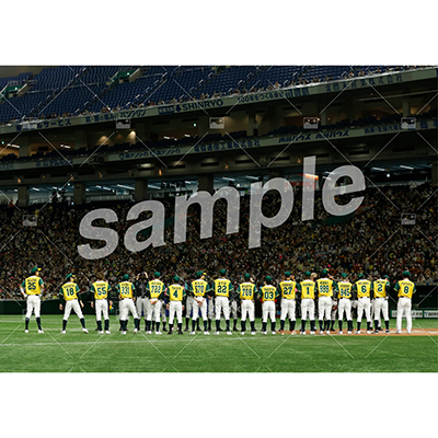 特典付きSPECIALフルセット(40枚)