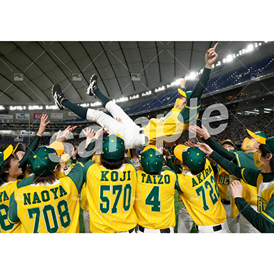 特典付きSPECIALフルセット(40枚)