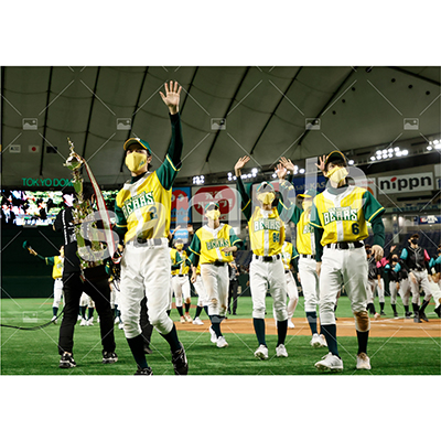 特典付きSPECIALフルセット(40枚)