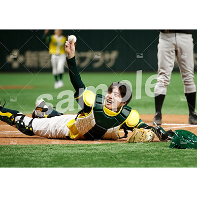 特典付き『DB』フルセット(67枚)