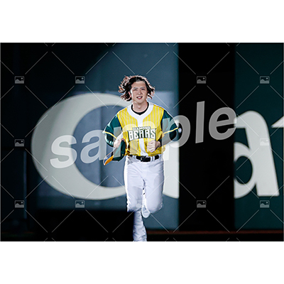 特典付き『DB』フルセット(67枚)