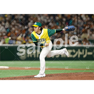 特典付き『DB』フルセット(67枚)