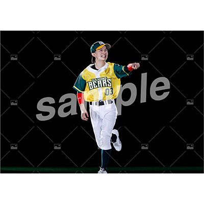 特典付き『DB』フルセット(67枚)