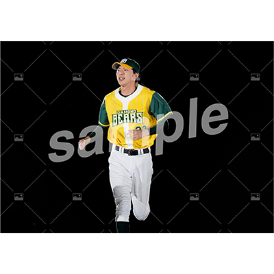 特典付き『DB』フルセット(67枚)