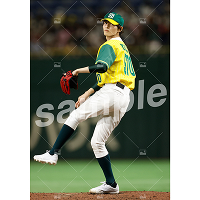 特典付き『DB』フルセット(67枚)