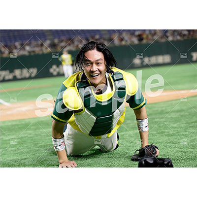 特典付き『DB』フルセット(67枚)